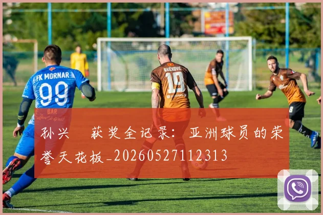 孙兴慜获奖全记录：亚洲球员的荣誉天花板_20260527112313
