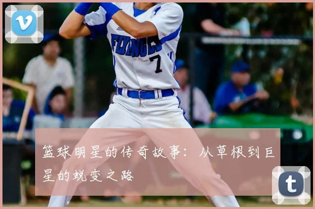 篮球明星的传奇故事:从草根到巨星的蜕变之路